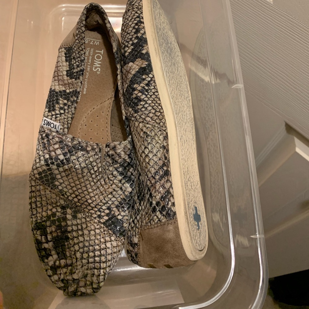 Snake Flat Toms Shoes